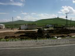 PICT8341 vzroba topiva z hnoje.jpg